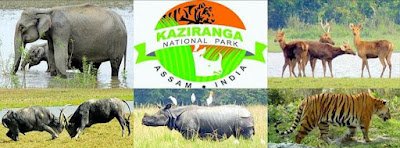 National Parks in Assam 2021 for Assam TET 2021 - অসমৰ ৰাষ্ট্ৰীয় উদ্যান সমূহৰ বিষয়ে